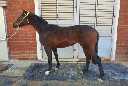 �ο����� ����