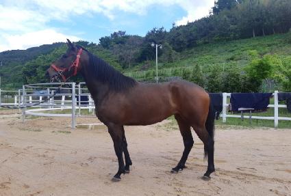 ���� ����