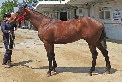 �ż��Ŀ� ����