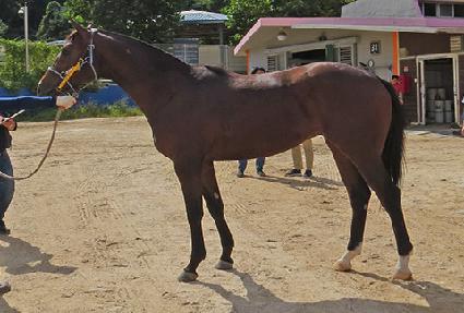 �������̷�Ű ����