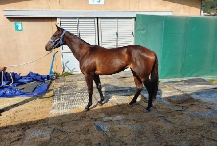 ������ī�� ����