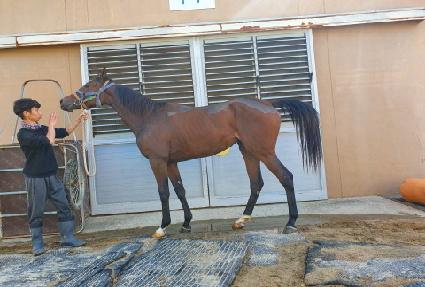 �������� ����