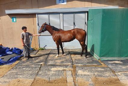 ��ٸ���Ʈ ����