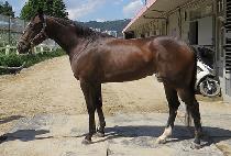 �ƶ�ũ���� (ARAK TO WIN) ����