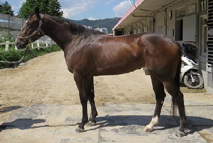 �ƶ�ũ���� ����