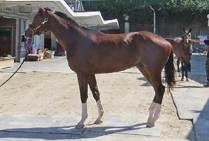 Ƽ�������� ����