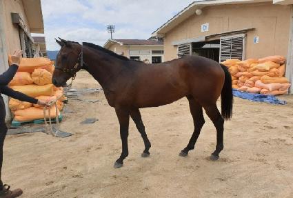 ���̿����͵� ����