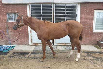 ����θ� ����