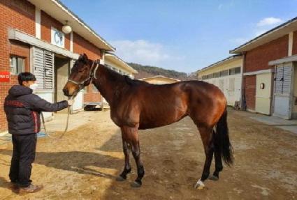 �����̹̽� ����