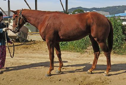 ��ź���� ����