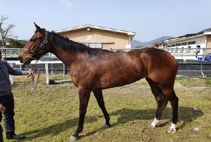 �̽��뷯 ����