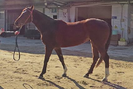 �����Ǽ��� ����