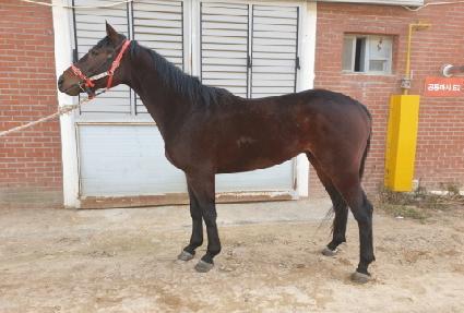 �۽�Ʈ���� ����