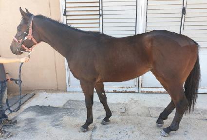 �Ŀ����� ����