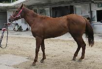 ������ (NOW QUEEN) ����