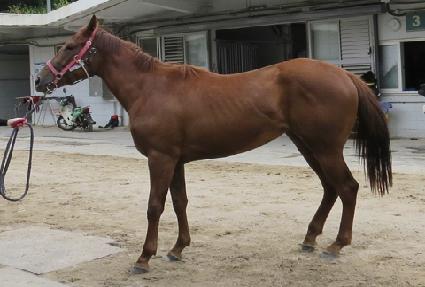 ������ ����