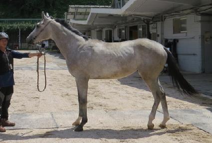 ���� ����