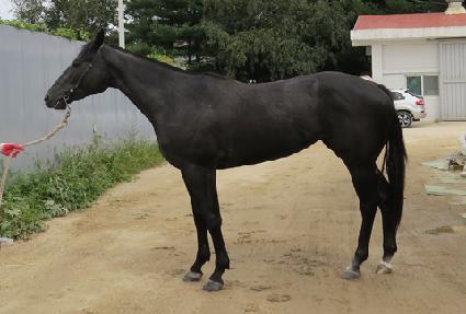 ������� ����