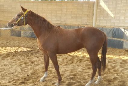 �ο���Ŭ�� ����