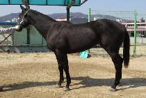 ȫ�� (HONGSI) ����