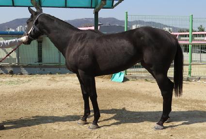 ȫ�� ����