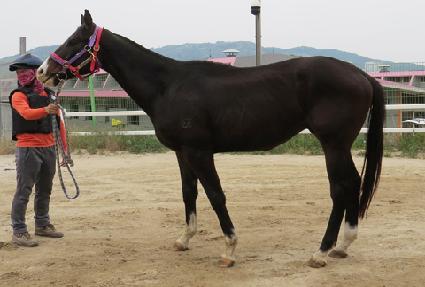 ���Ÿ�̰� ����