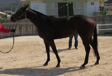 �޵�ġ�� ����