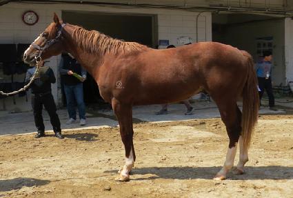 ���߿��� ����