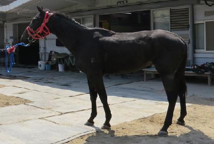 ��������Ʈ ����