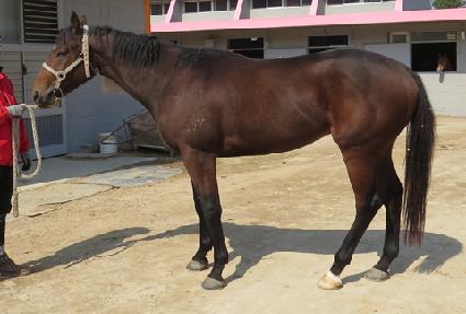 �Ƹ��ȿ��� ����