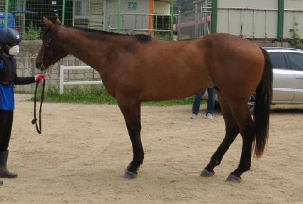 �����ǻ� ����