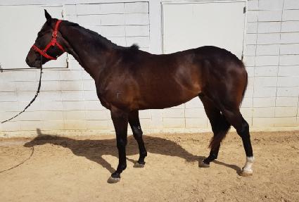 ũ���������� ����