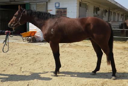 ��ȣ����ǮĹ ����