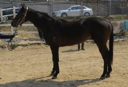 ŷ��� ����