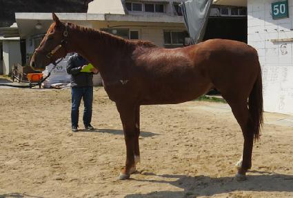 ����ž ����