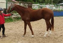 ž�ö��� (TAP FLYING) ����