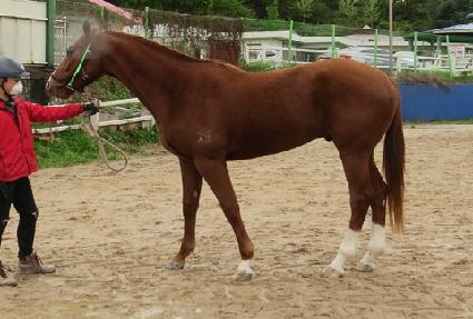 ž�ö��� ����