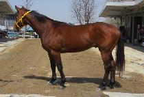 ���п�īƼ (MOONHAK EKATI) ����