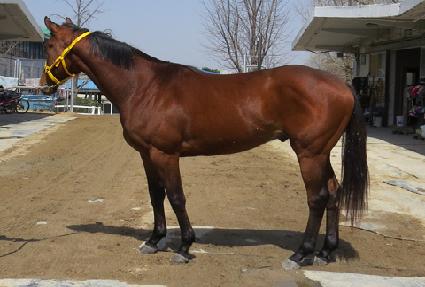 ���п�īƼ ����