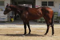 ���м��� (MOONHAK SERVE) ����