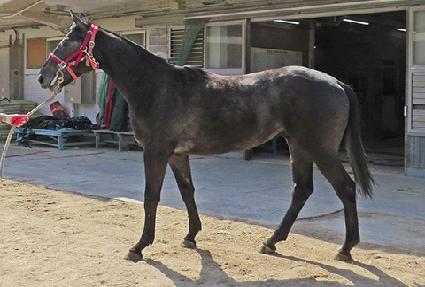 Ƽ���̺��� ����