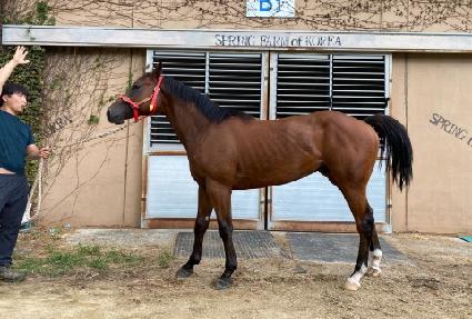 ������ ����