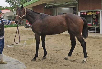 ��ε�ŷ ����