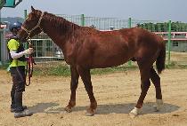 �̸�ĸƾ (MIR CAPTAIN) ����