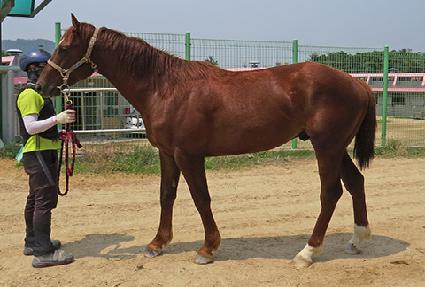 �̸�ĸƾ ����