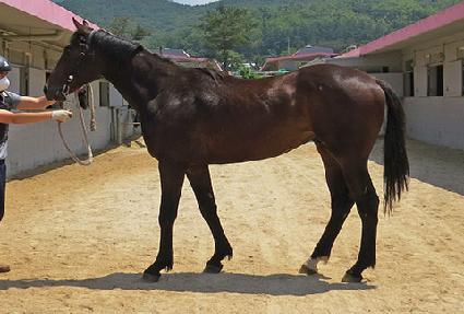 �����ͼ����� ����