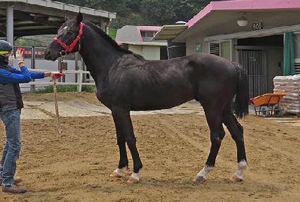 �ݼ��� ����