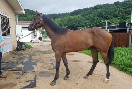 ���ϰ� ����