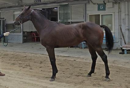 ���̿�����Ʈ ����