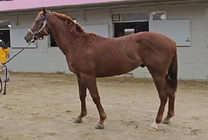 �����̵�ǳ ����